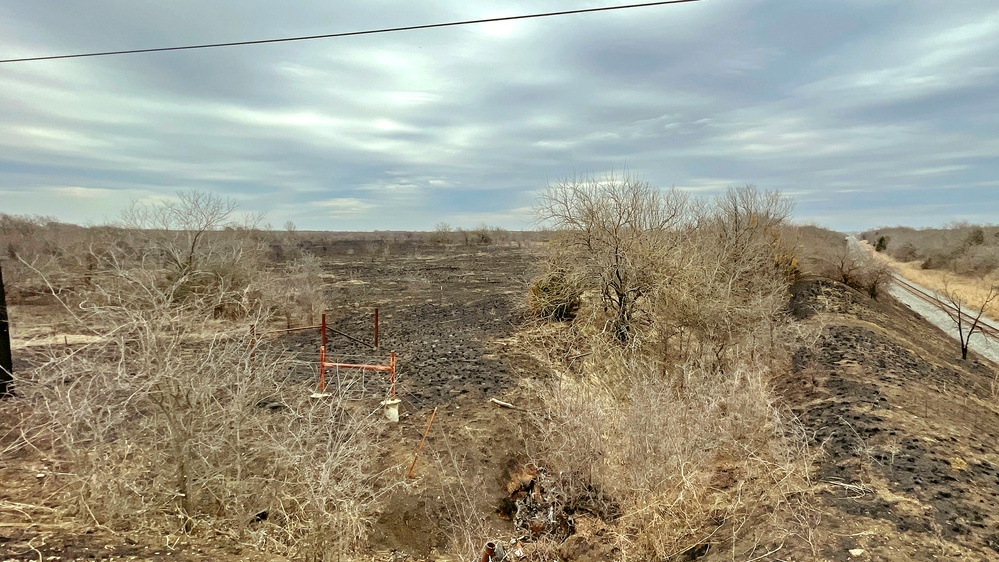 Out with the Old, in with the New: How Prescribed Fires Benefit the Ecosystem