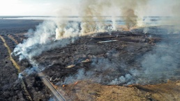 Out with the Old, in with the New: How Prescribed Fires Benefit the Ecosystem