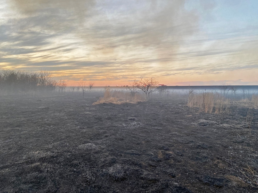 Out with the Old, in with the New: How Prescribed Fires Benefit the Ecosystem