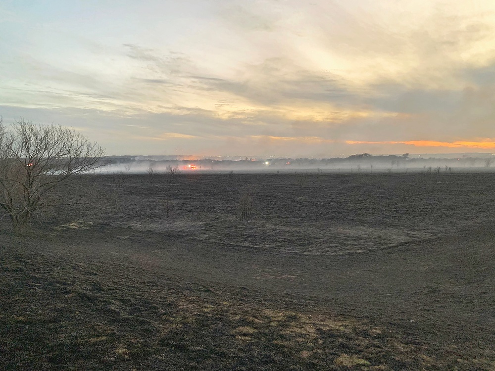 Out with the Old, in with the New: How Prescribed Fires Benefit the Ecosystem