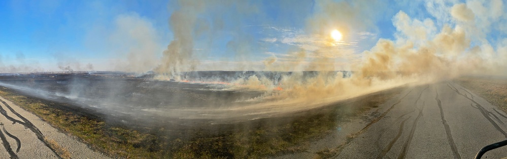 Out with the Old, in with the New: How Prescribed Fires Benefit the Ecosystem