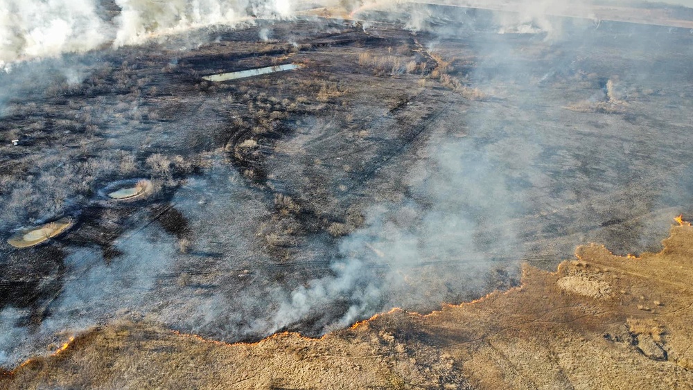 Out with the Old, in with the New: How Prescribed Fires Benefit the Ecosystem