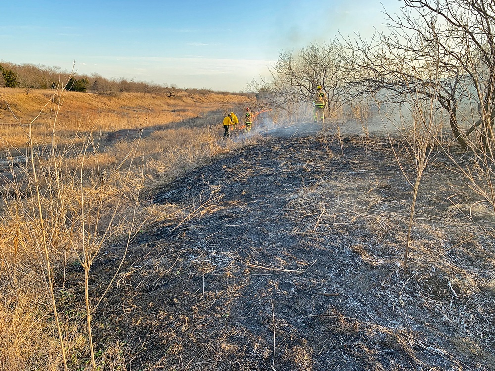 Out with the Old, in with the New: How Prescribed Fires Benefit the Ecosystem