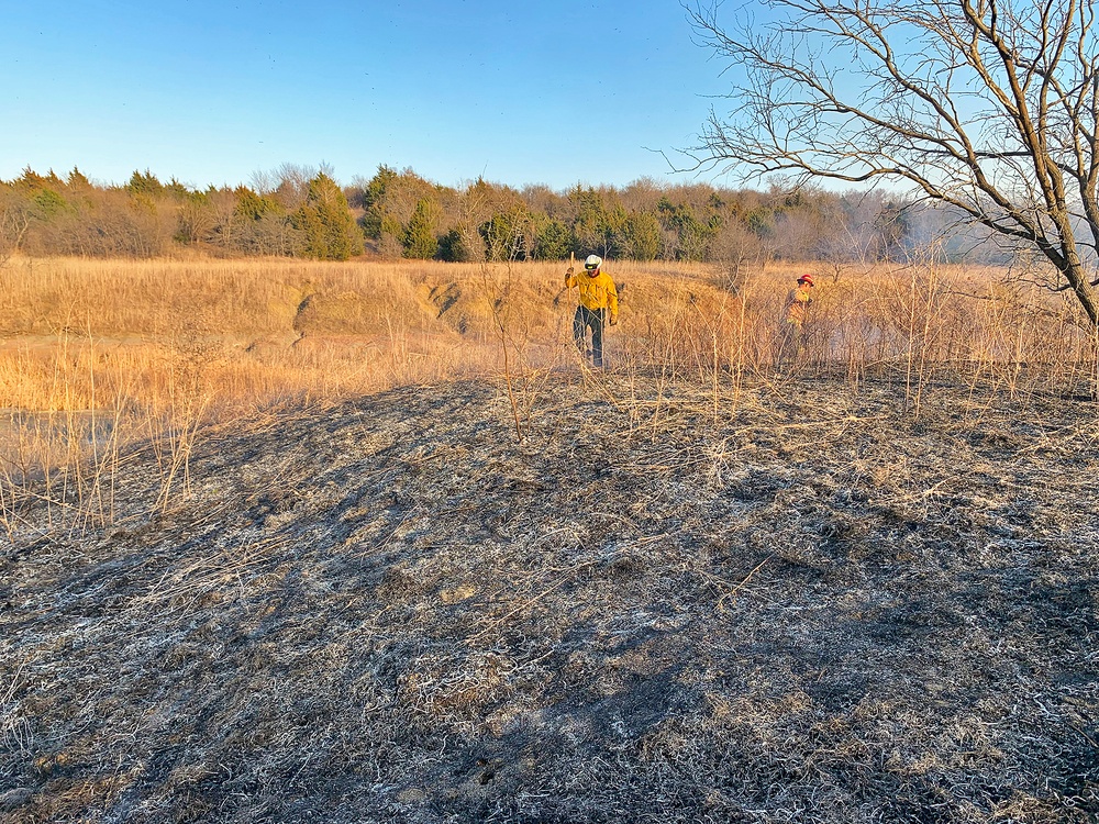 Out with the Old, in with the New: How Prescribed Fires Benefit the Ecosystem