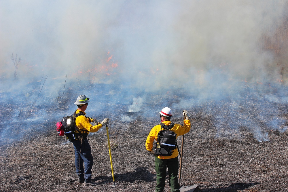 Out with the Old, in with the New: How Prescribed Fires Benefit the Ecosystem