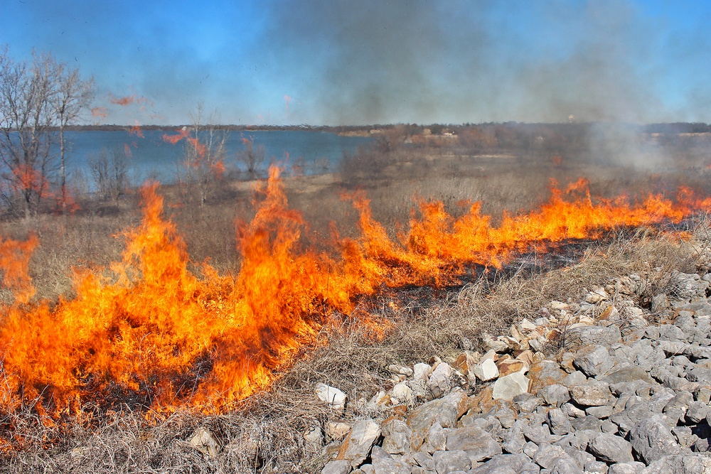 Out with the Old, in with the New: How Prescribed Fires Benefit the Ecosystem