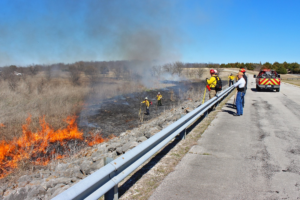 Out with the Old, in with the New: How Prescribed Fires Benefit the Ecosystem