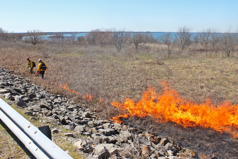 Out with the Old, in with the New: How Prescribed Fires Benefit the Ecosystem