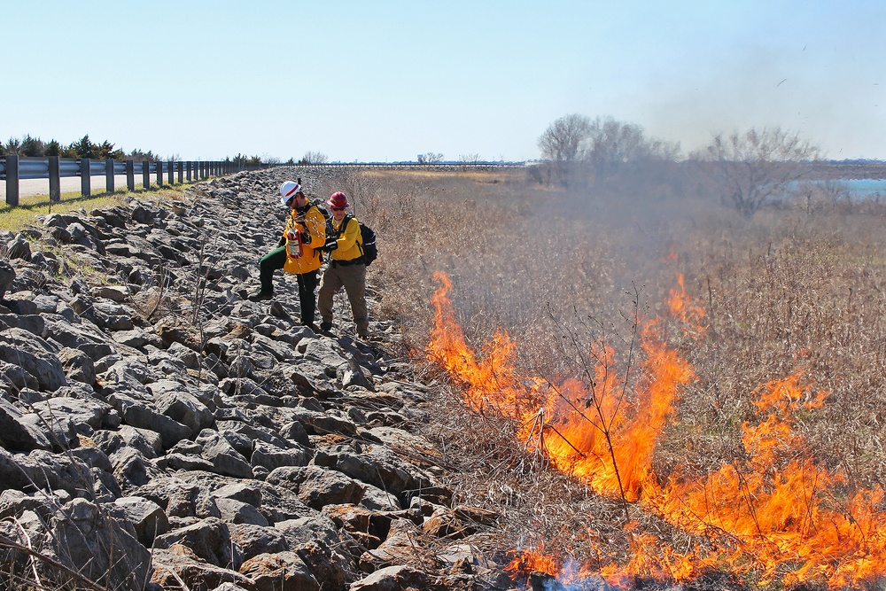 Out with the Old, in with the New: How Prescribed Fires Benefit the Ecosystem