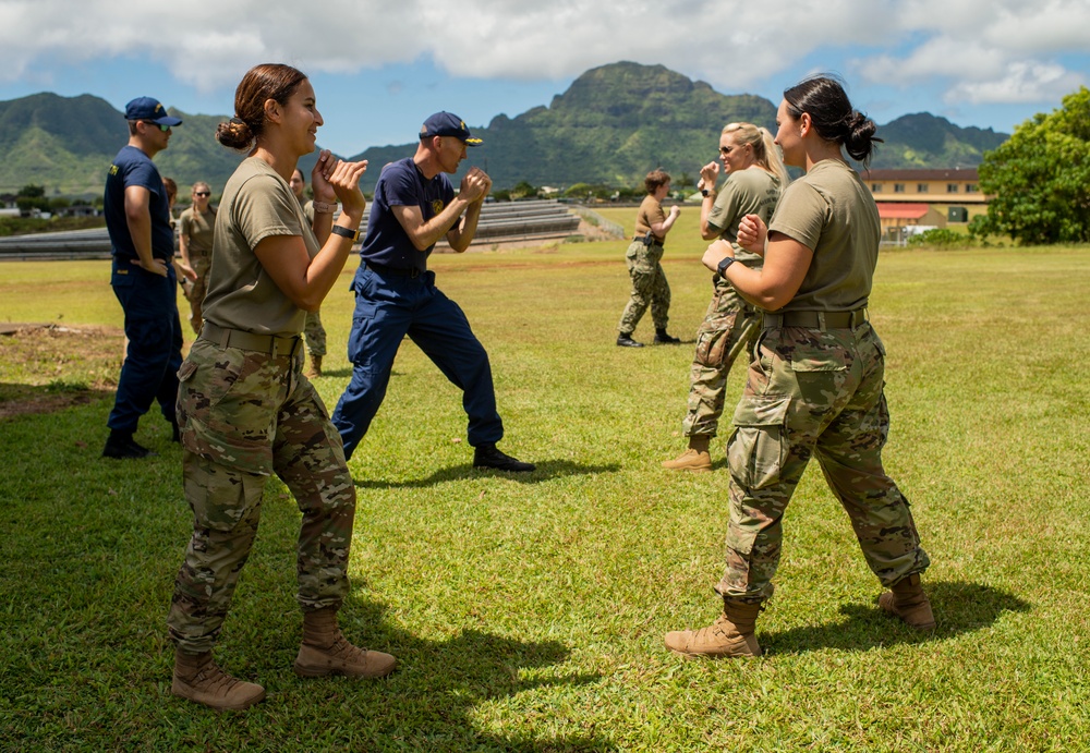 Operation IRT Tropicare Kaua'i Basic Combative's Course