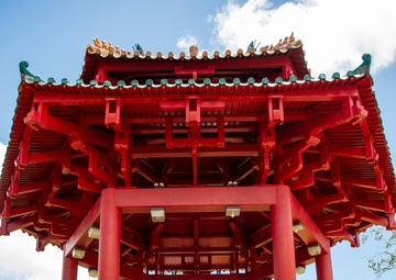 Operation IRT Tropicare Kaua'i Basic Combative's Course