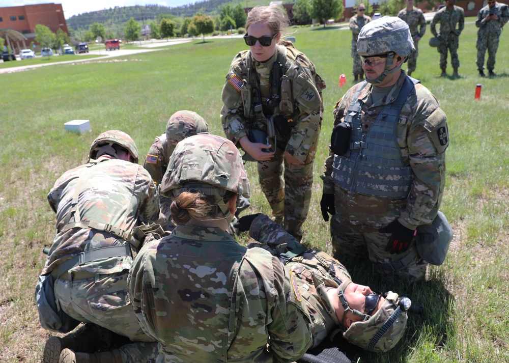 1/112th Delta Co. (AA) Litter Training - Golden Coyote 22