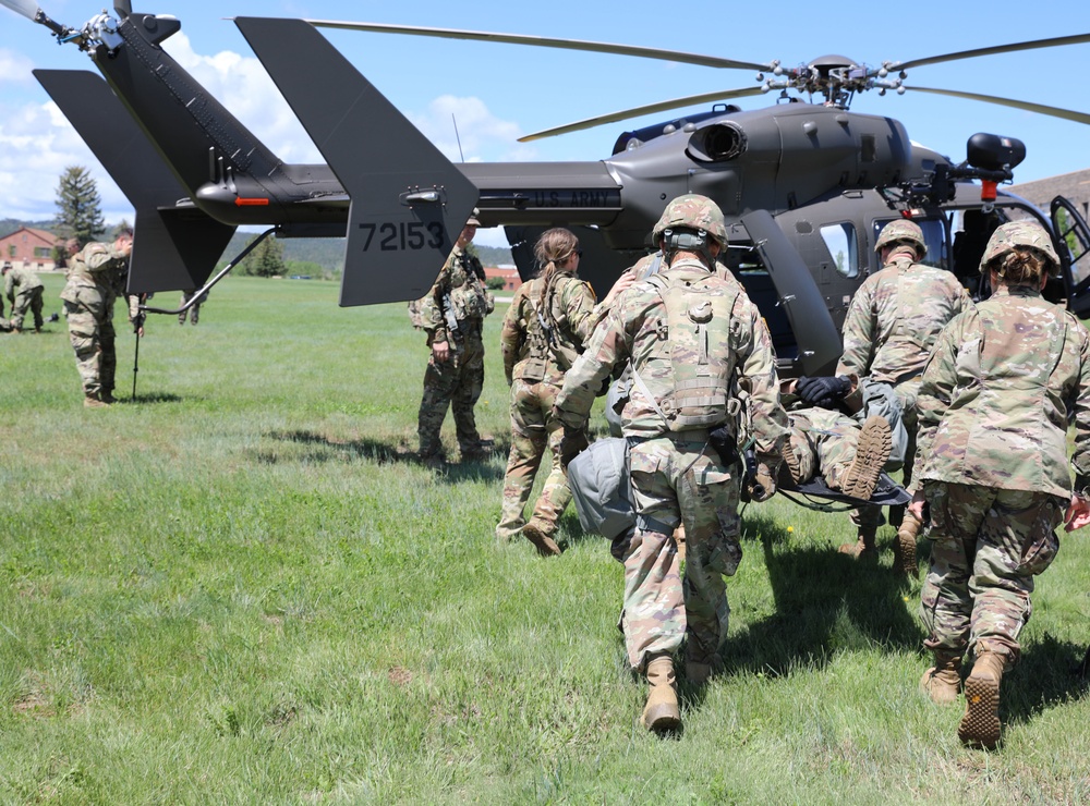 1/112th Delta Co. (AA) Litter Training - Golden Coyote 22