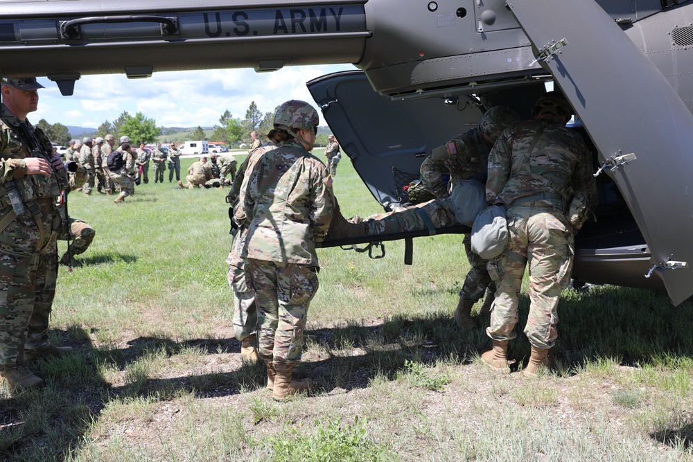 1/112th Delta Co. (AA) Litter Training - Golden Coyote 22