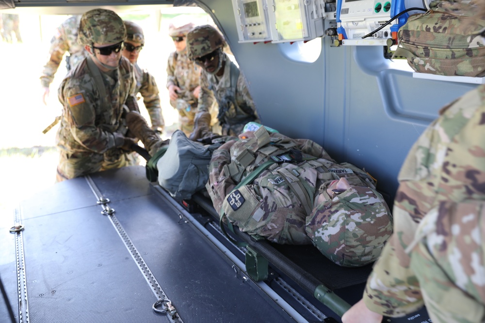 112th Delta Co. (AA) Litter Training - Golden Coyote 22