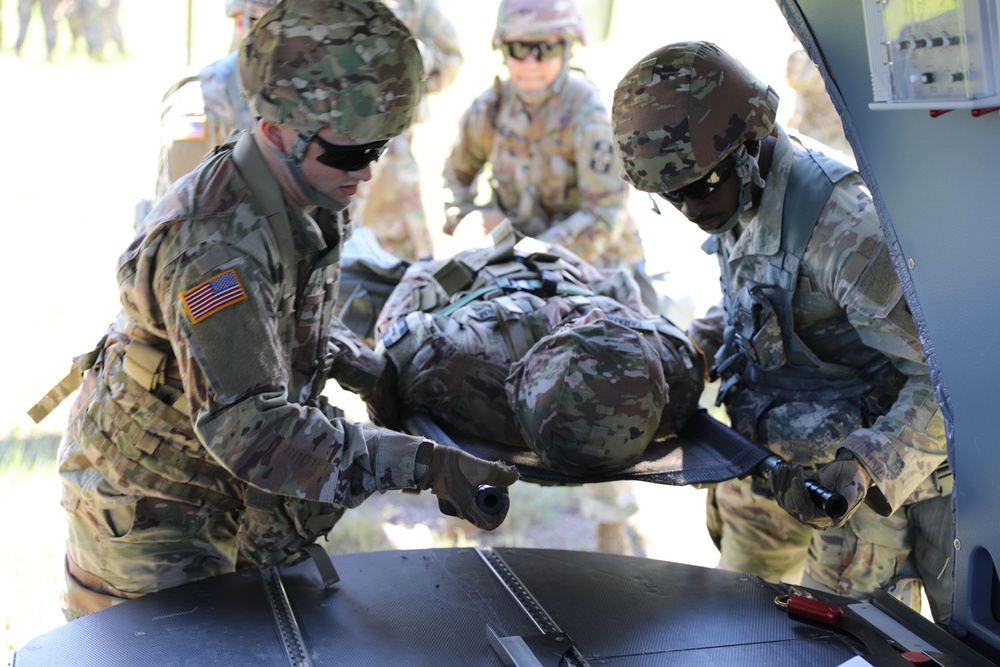 1/112th Delta Co. (AA) Litter Training - Golden Coyote 22