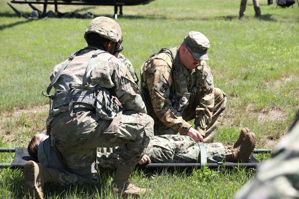 1/112th Delta Co. (AA) Litter Training - Golden Coyote 22