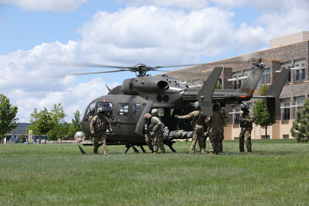 1/112th Delta Co. (AA) Litter Training - Golden Coyote 22