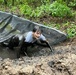 200-plus participants endure tough obstacles in trail run event at Fort McCoy