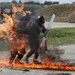 Crowd Riot Control Training - Fire Phobia