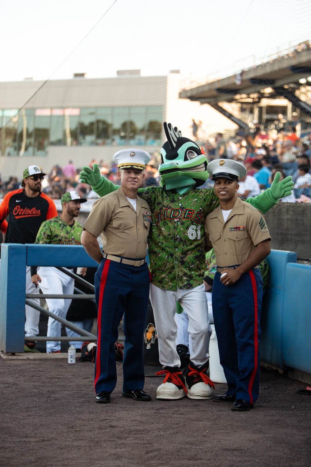 Norfolk Tides Marine Night