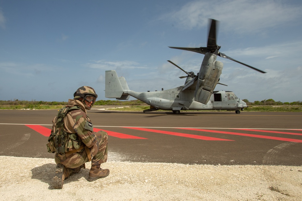 Caraibes 22: U.S. Marines transport NATO allies