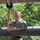Cadet on tough one rope