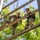 Confidence climb 2