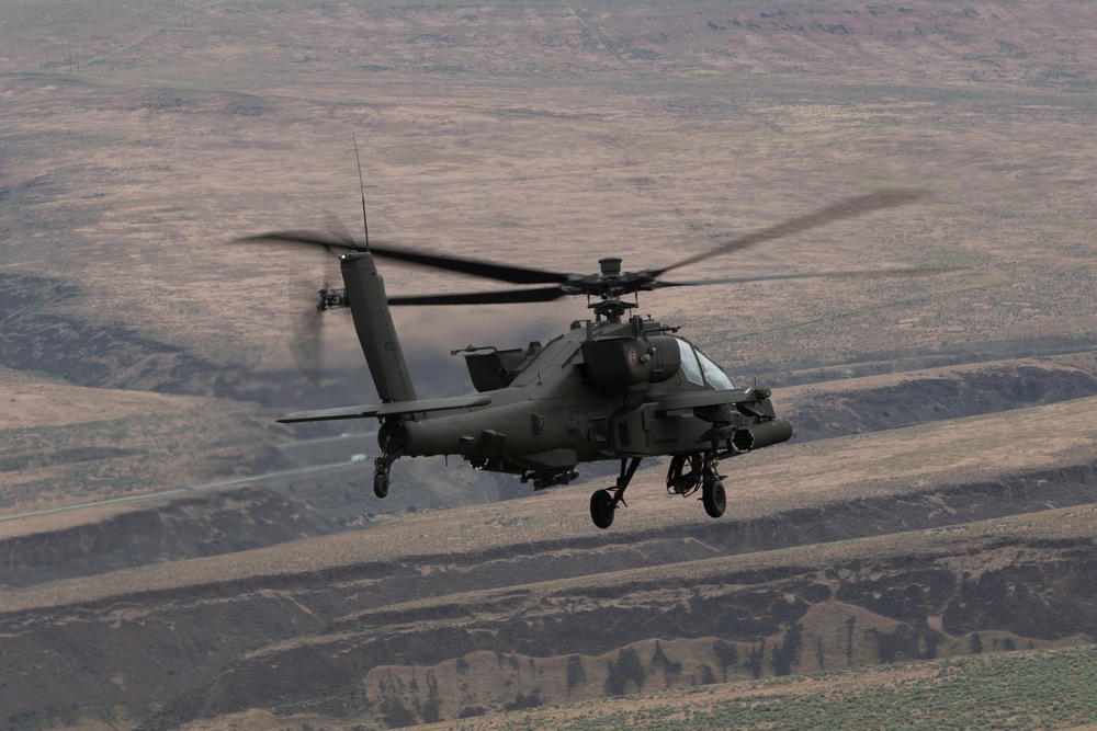 Lead Raptors in Flight