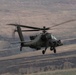 Lead Raptors in Flight