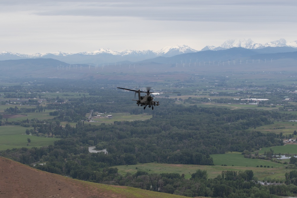 Lead Raptors in Flight