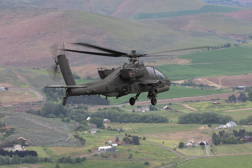 Lead Raptors in Flight