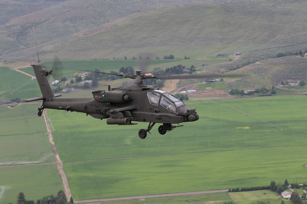 Lead Raptors in Flight