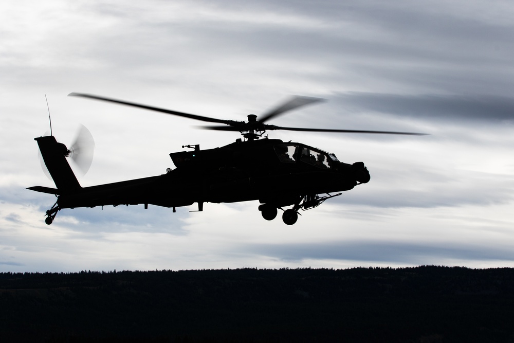 Lead Raptors in Flight