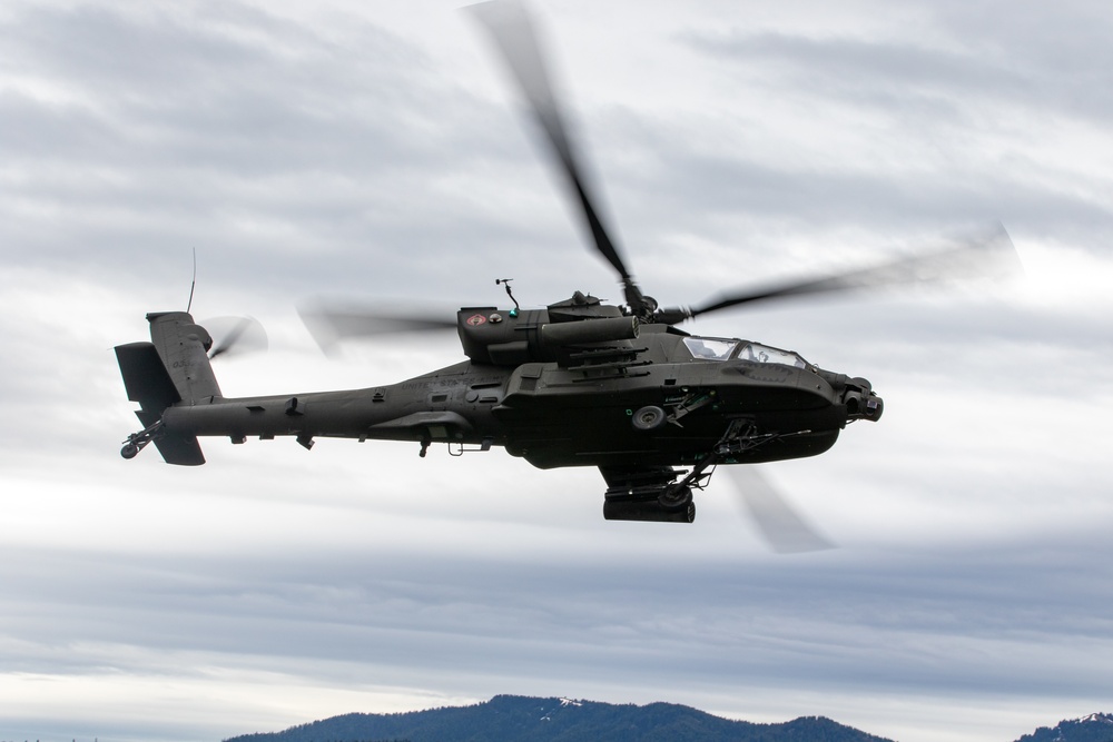 Lead Raptors in Flight