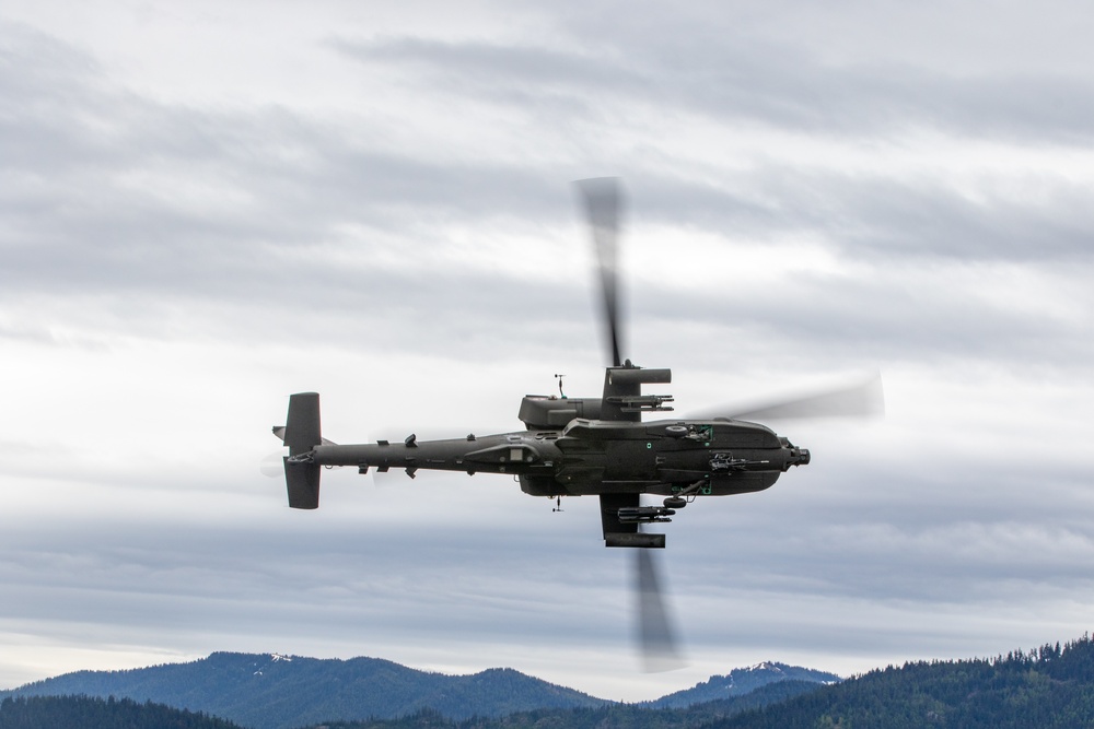 Lead Raptors in Flight