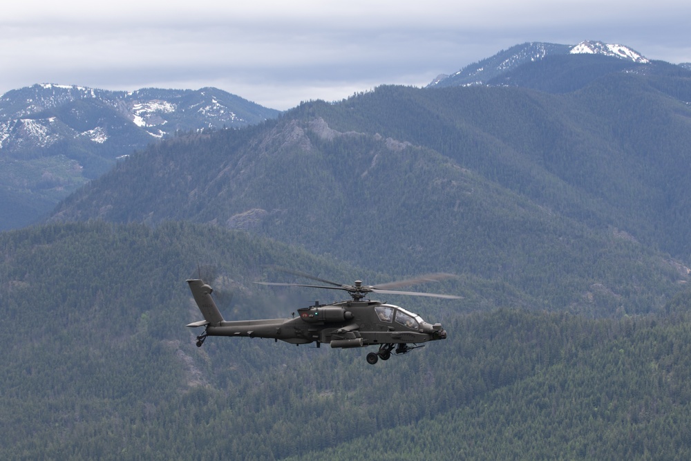 Lead Raptors in Flight