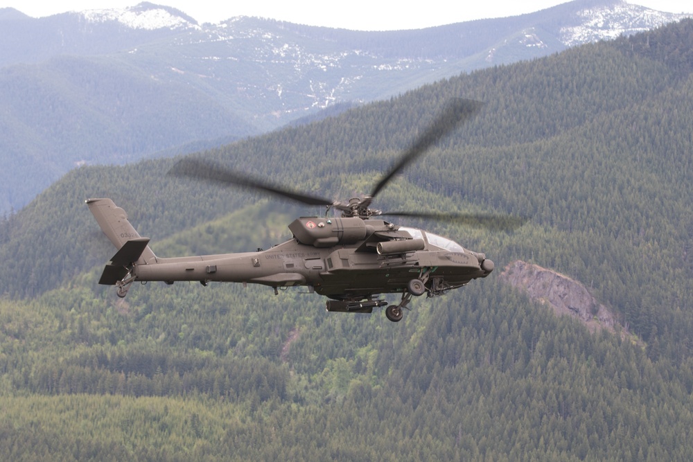 Lead Raptors in Flight