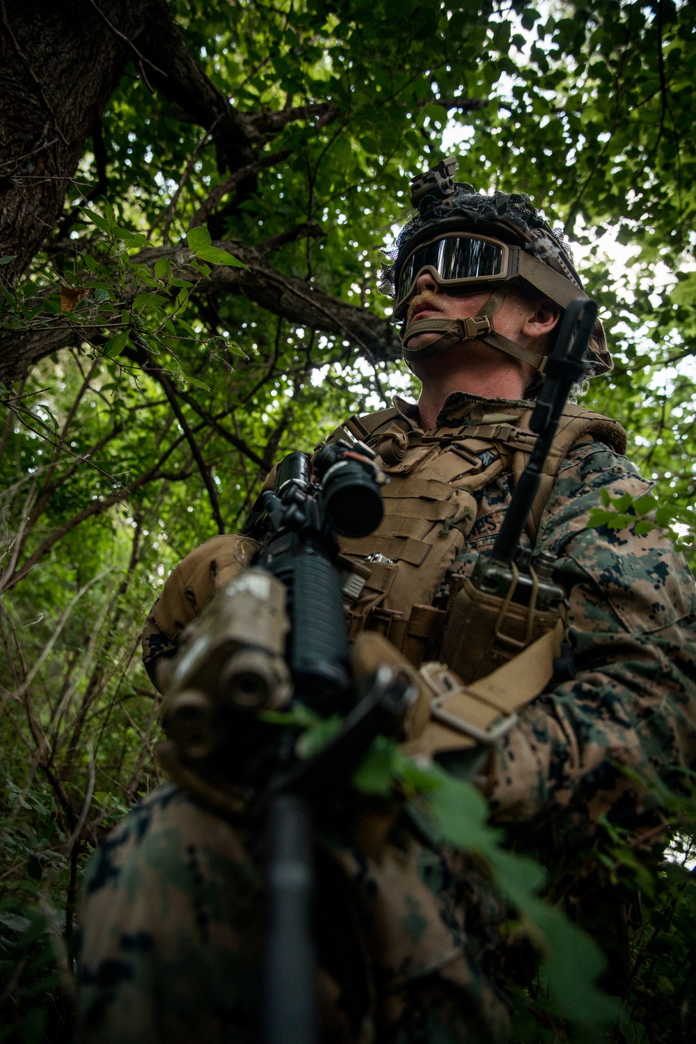 California Marine Participates in Joint Fast-Rope Training