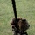 2d Recon HRST training