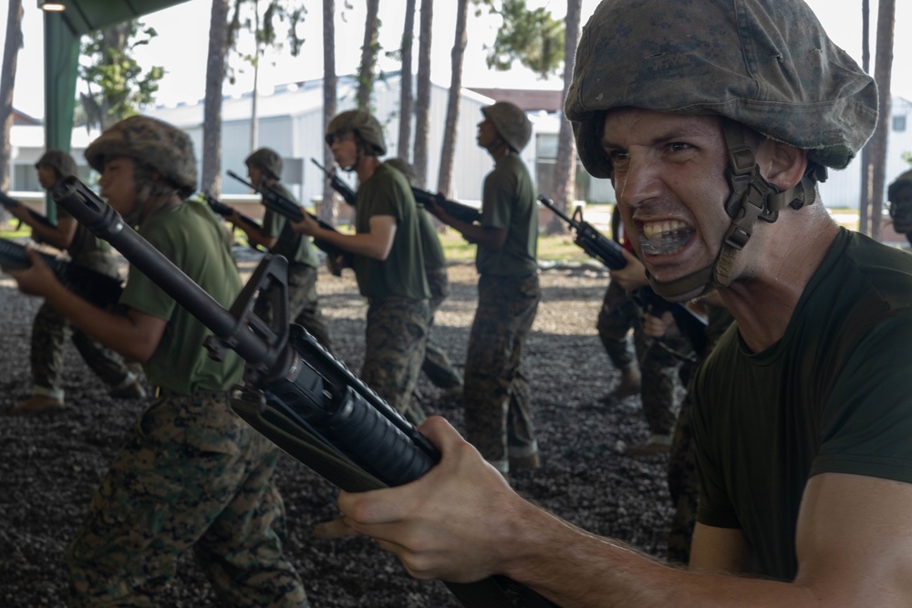 Delta Company Confidence Course and MCMAP