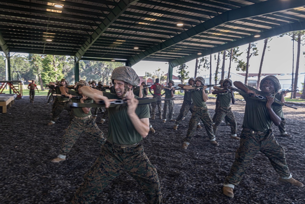 Delta Company Confidence Course and MCMAP
