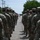 A March for Freedom