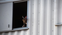 Cannon hosts Coyote Dicer joint exercise, tests Air Force Special Operations Command combat readiness with U.S. Army Green Berets
