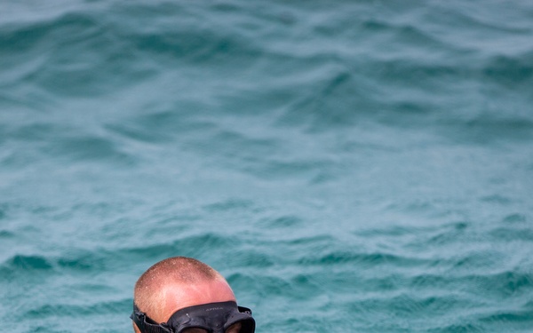 Caribbean Coastal Warrior Pace Dive