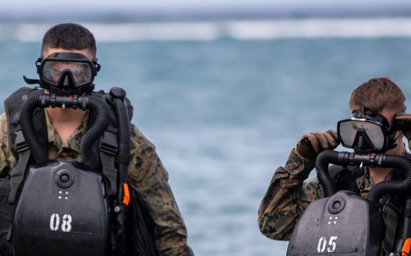 Caribbean Coastal Warrior Pace Dive