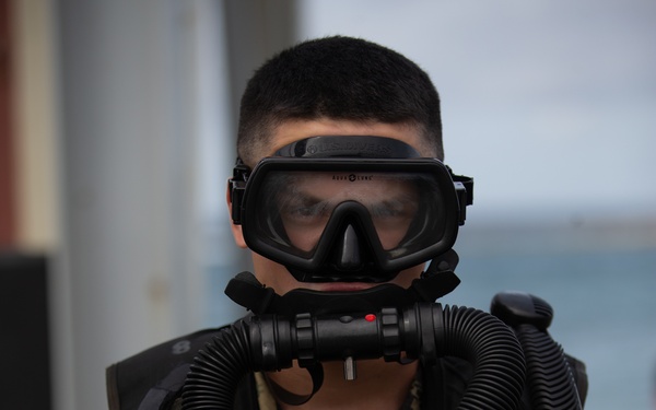 Caribbean Coastal Warrior Pace Dive