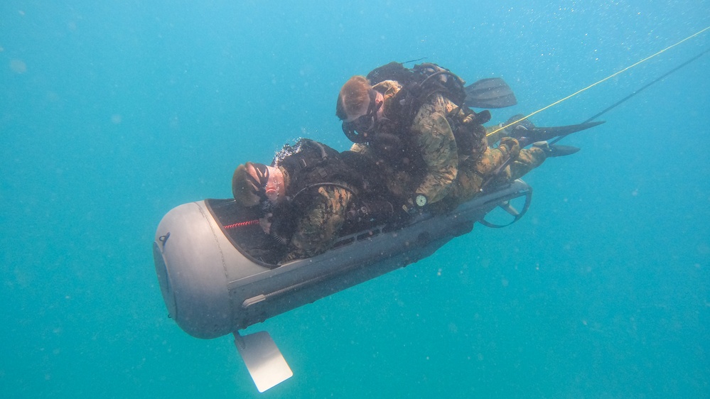 Caribbean Coastal Warrior Team Dives