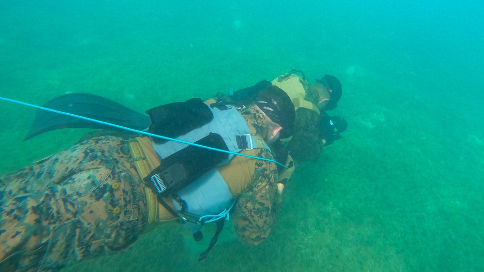 Caribbean Coastal Warrior Team Dives