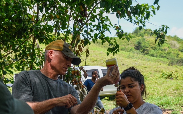 Resolute Sentinel 22: U.S. Veterinarians vaccinate Guatemalan Cattle